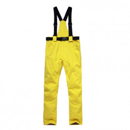 Штаны для горных лыж ARCTIC QUEEN G16 (жёлтый)